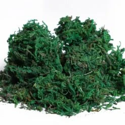 Outsunny Set Of 2 Artificial Boxwood Plant Tree's With Pot - Green -Home Furnishing Serie Shop 1624275725 26105600