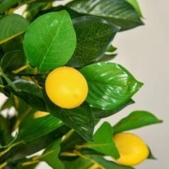 HOMCOM Artificial Lemon Tree Fake Decorative Fruits Plant In Nursery Pot For Indoor Outdoor Décor, 135cm -Home Furnishing Serie Shop 1645291826 60535900 eedd3477 4d9f 4b95 8ea5 c7957b20da75