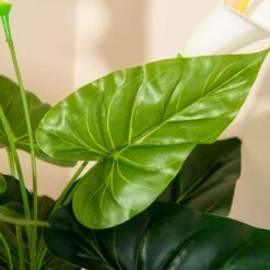 HOMCOM Calla Lily Flower - Artificial Plants 17 HOMCOM Calla Lily Flower - Artificial Plants -Home Furnishing Serie Shop 2pOe5817dc19c90b5 6fc2c3ba 1593 4392 adb8 f2123ecded46