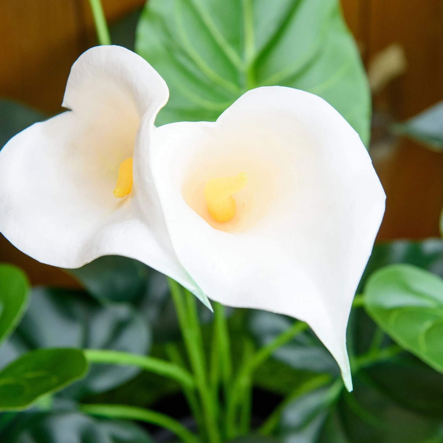 HOMCOM Calla Lily Flower - Artificial Plants 9 HOMCOM Calla Lily Flower - Artificial Plants - Image 9