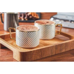 Swan Pump Espresso Coffee Machine - Grey -Home Furnishing Serie Shop SK22110GRN LIFESTYLE 7