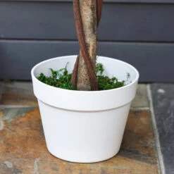 Outsunny Artificial Rose Tree And Planter For Indoor & Outdoor Use - Pink And Green 15 Outsunny Artificial Rose Tree And Planter For Indoor & Outdoor Use - Pink And Green -Home Furnishing Serie Shop ohV9b417dc39d3ea4 jpg